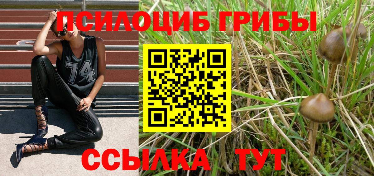 Азов  Псилоцибиновые грибы прущие грибы  Вход с VPN  Галлюциногенные грибы Psilocybine cubensis 