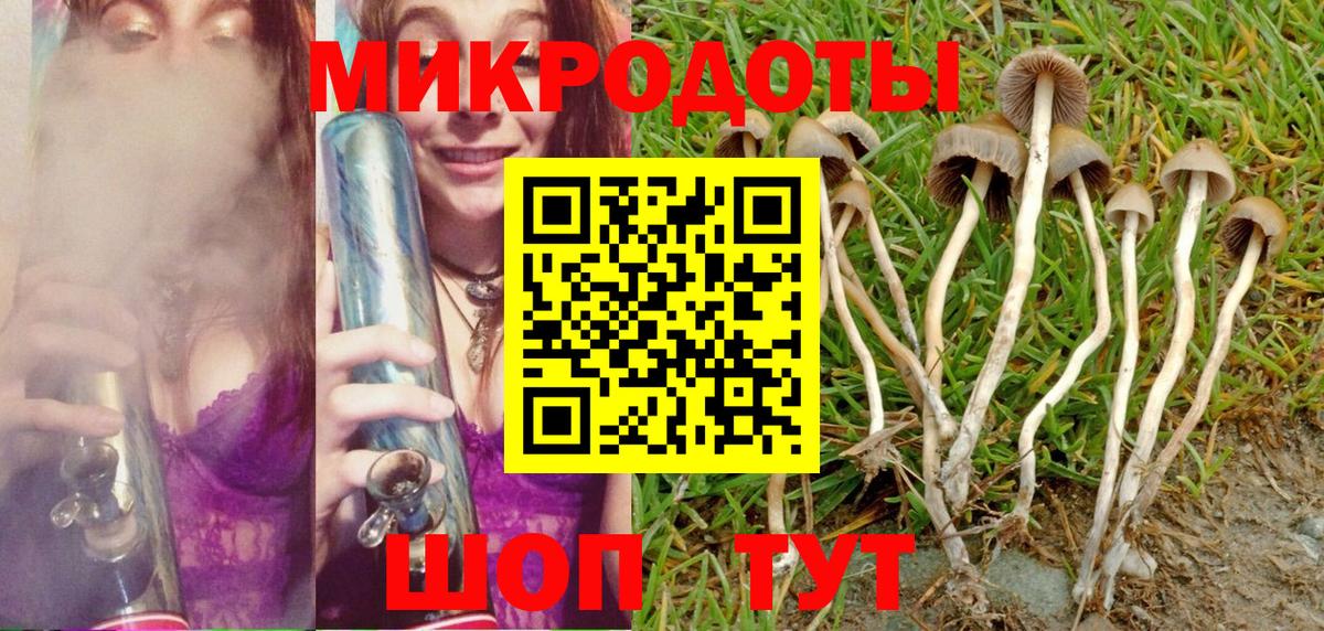 Галлюциногенные грибы мухоморы Азов